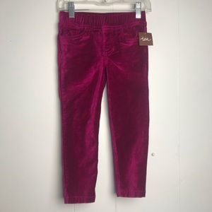 Tea Collection Piper Velvet Pants NWT. Size 5T